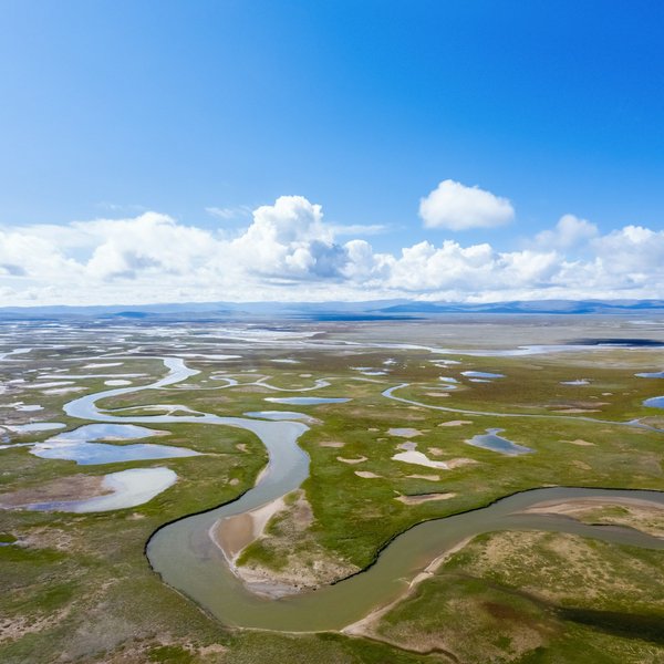 ¿Cómo conservar las hierbas frescas por más tiempo?