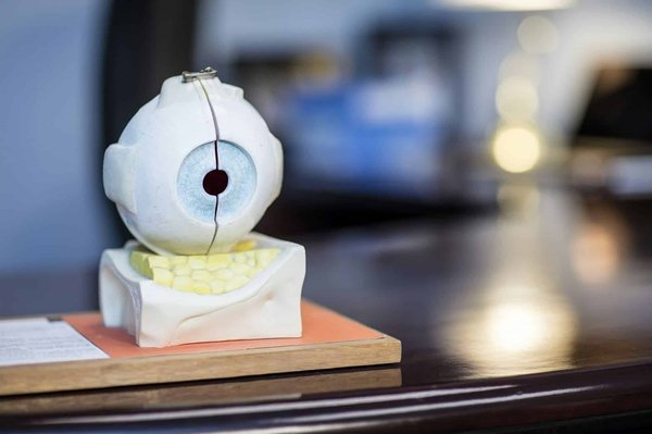 ¿Cómo elegir la chaqueta adecuada para diferentes tipos de cuerpo?